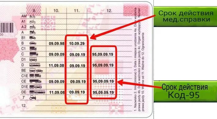 Получить код 95. 95 код в польше. что такое код 95 для дальнобойщиков. 95код европа. код 95 чехия.