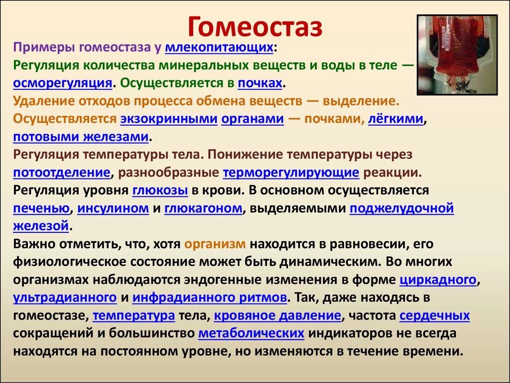 Воздействиям сохранять свои свойства. Гомеостаз. Гомеостаз примеры. Гомеостаз в организме человека. Виды гомеостаза.