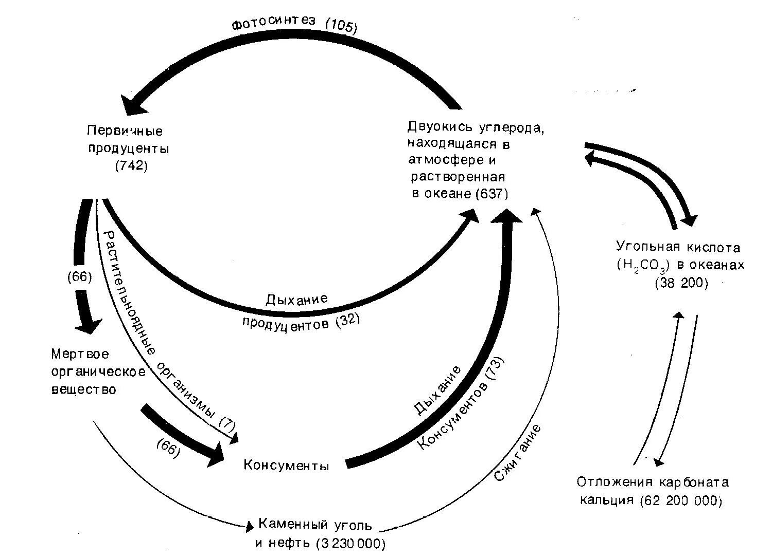 Схема биологического круговорота веществ. Круговорот фосфора в экосистеме. Круговорот фосфора в природе схема. Круговорот азота в природе 9 класс. Рамаду, 1981).