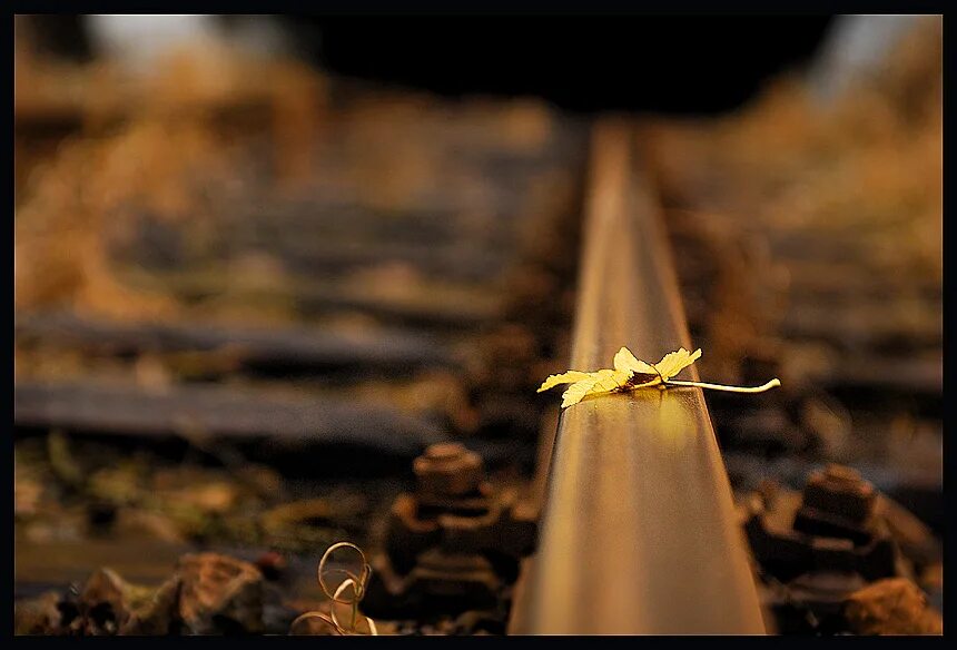 Рано или поздно стих. Путь дорожка. Расхождение путей. Дороги расходятся. Наши пути расходятся.