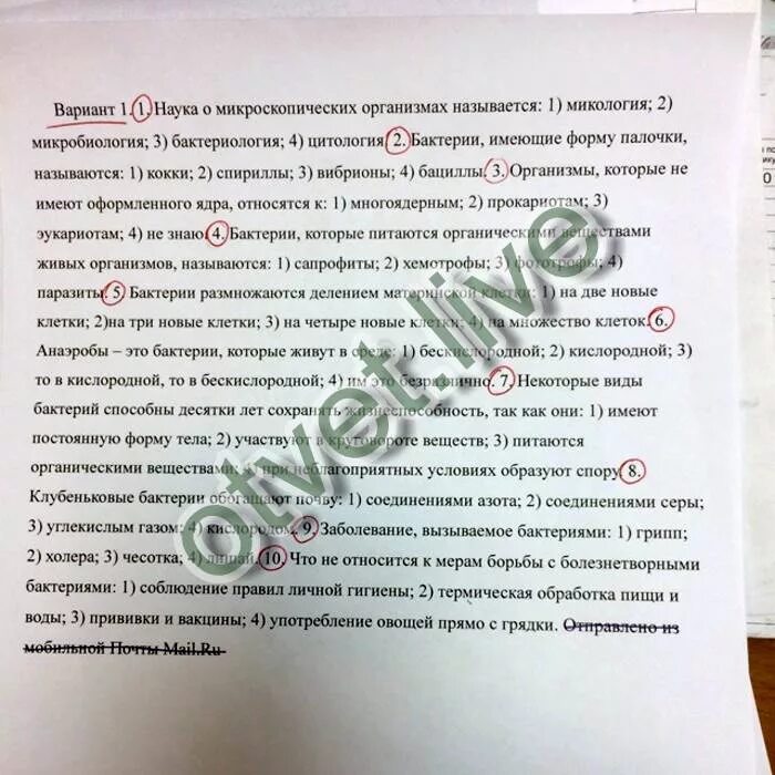 Тест бактерии 5. Задание бактерии 5 класс. Бактерии биология. Тест бактерии 5. Тест по бактериям.