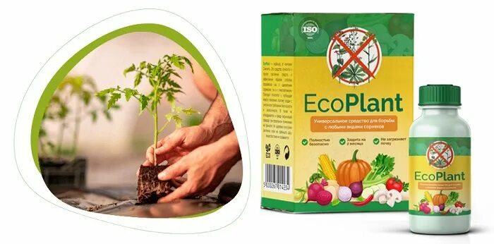 Eco plant. Эко средство от сорняков. ECOPLANT. Eco Plant средство против сорняков. Средство для уничтожения вьюна на к.