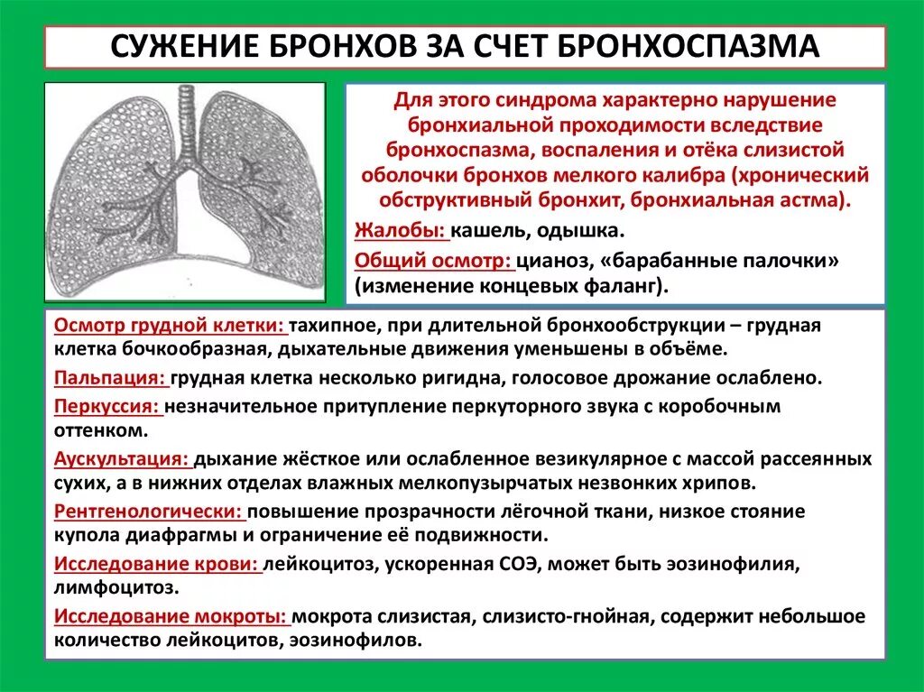 Синдром нарушения бронхиальной проходимости. Причины нарушения бронхиальной проходимости. Бронхиальная обструкция бронхи.