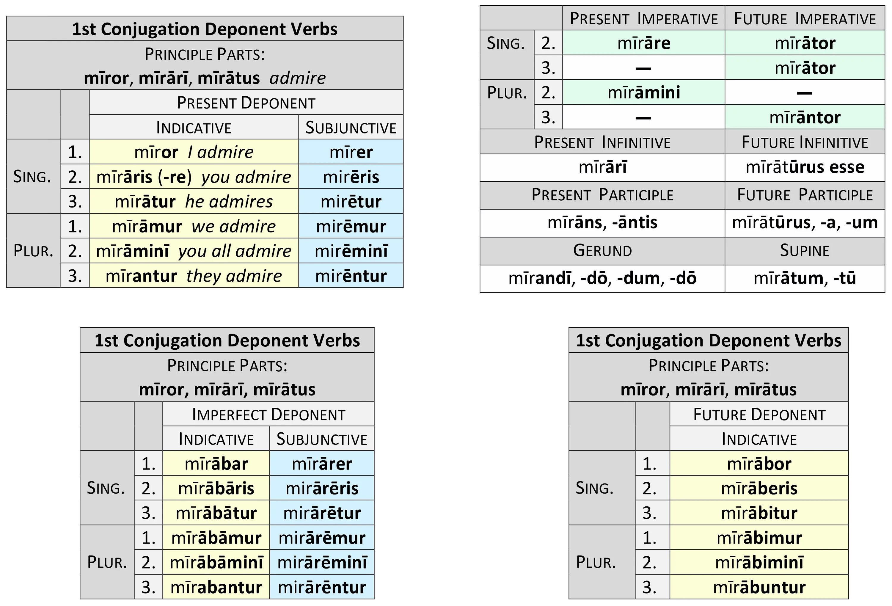 Present system. Verb Conjugation. Participle 1 в английском языке. Participle 1 и participle 2 и герундий. Latin verbs.