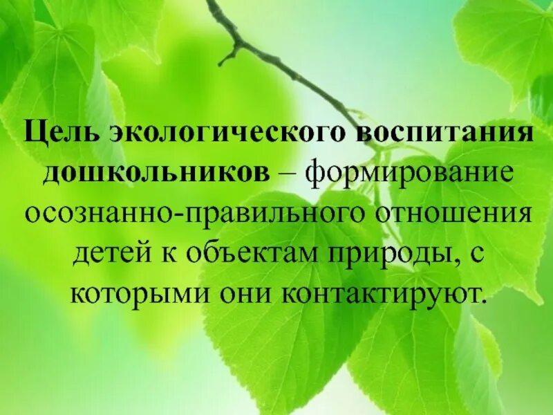 Создание условий для экологического воспитания детей. Экологическое воспитание дошкольников. Цель экологического воспитания. Цель экологического воспитания дошкольников. Цель экологического воспитания в ДОУ.