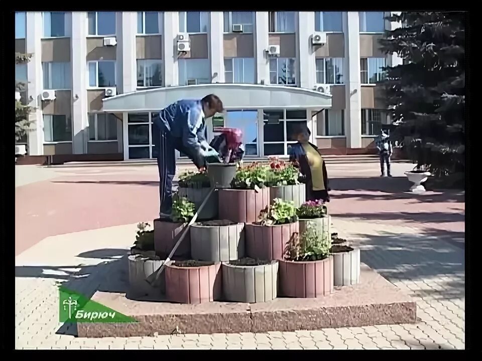 Трк бирюч. Бирюч призыв. Трк бирюч. Подслушано в бирюче красногвардейского района белгородской. Бирюч.