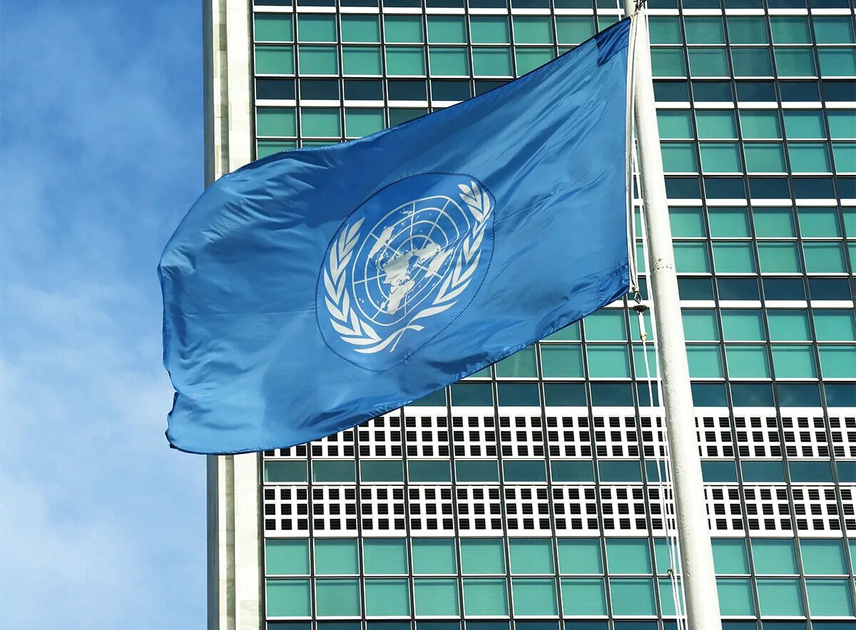 Оон отметил. ЮНИДИР. Трибуны ООН. Фото трибуны ООН. Флаг ООН большая на улице.
