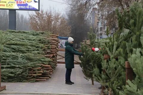 Елочный базар самара