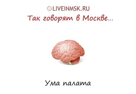 Ума палата