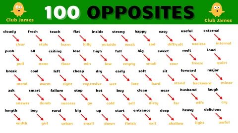 100 english words