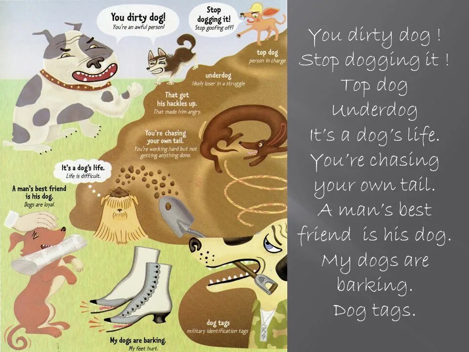 Life is dog. Top dog идиома. dogs life idiom. предложения с animal idioms. hair of the dog идиома.