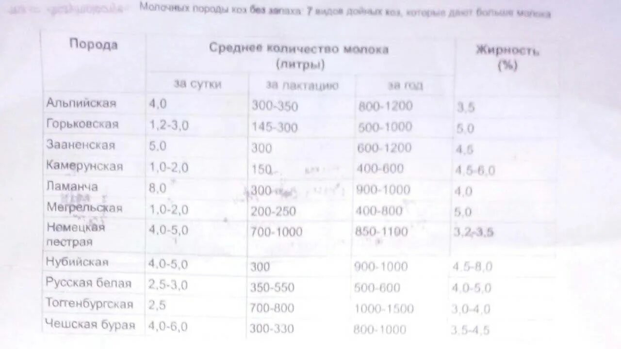 Сколько литров дает коза. Сколько молока дает коза. Сколько коза дает молока в день. Количество молока с козы. Дойные козы сколько молока дает.