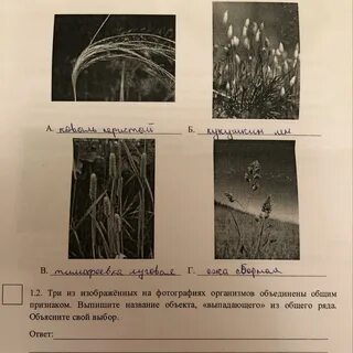 2 объекта объединены общим признаком