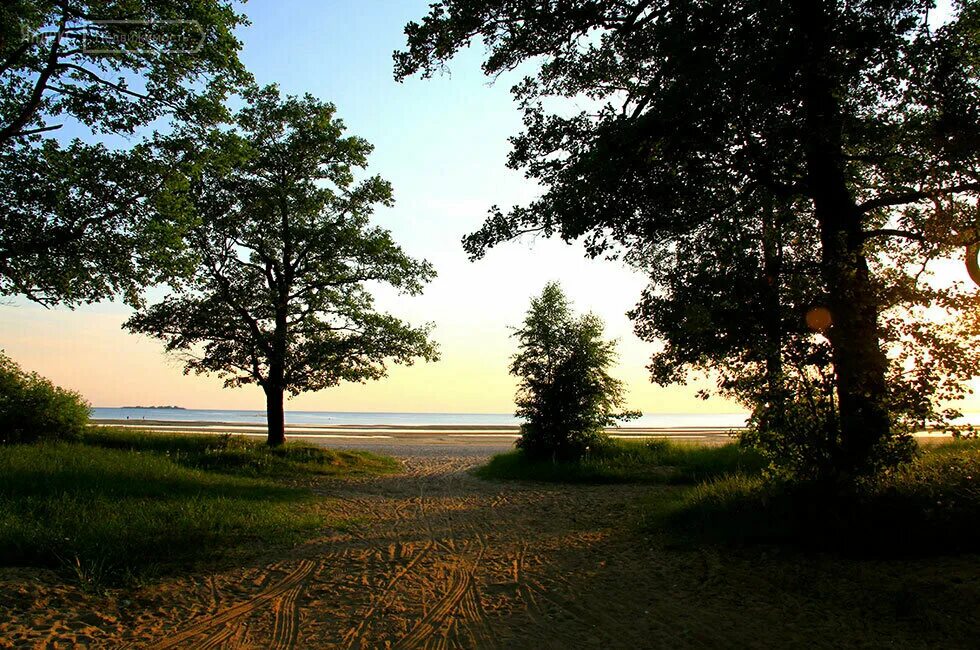 Лиственная улица сестрорецк. Поселок курортный сестрорецк. Особняк в сестрорецке. Сестрорецк, ул. Сестрорецк частный сектор.