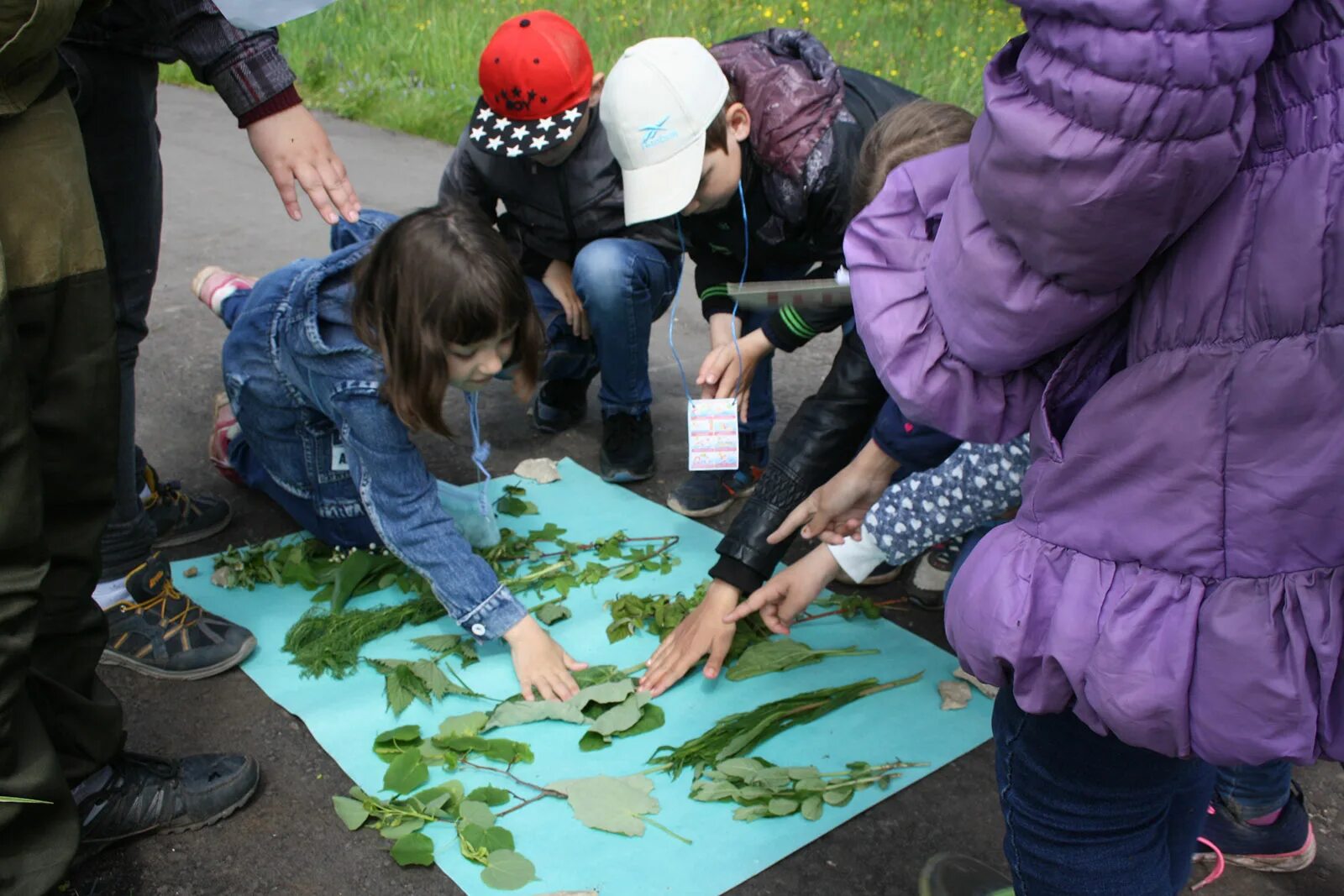 Городской экологический конкурс. Экологический конкурс. Конкурс по экологии. Экологические конкурсы для детей. Экологические конкурсы в школе.