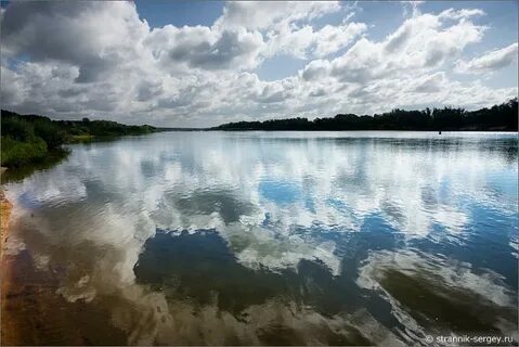 Ока лес