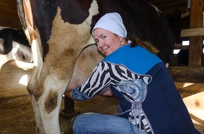 Доярка для дошкольников. Фотосессия с коровой. Доярка профессия. Доярка фото. Доение коров.