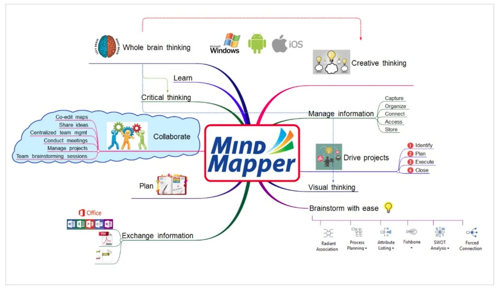 Mindmapper. Brain Map программа. Open source Mind Map. Mind software. Brain карта