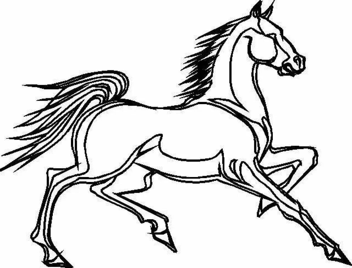 Раскраска. Лошади. Лошадка раскраска для детей. Раскраска конь. Картинка лошадь раскраска.