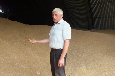 Кфх владимирское