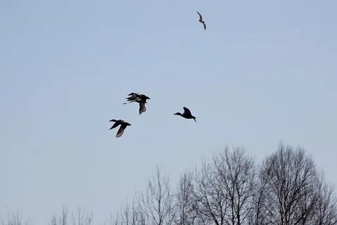 У самой береговой кромки отпечатались мои