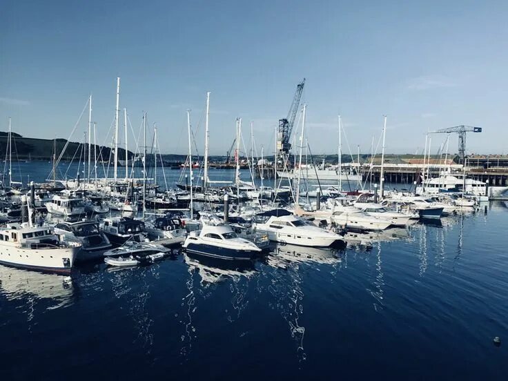 Dock port