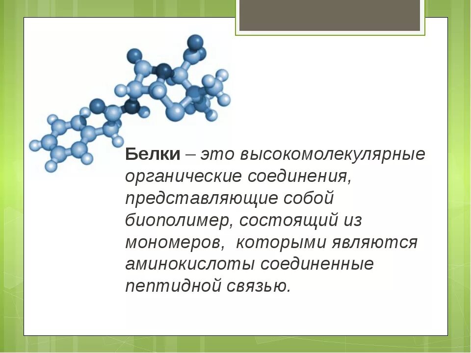 Белки высокомолекулярные соединения