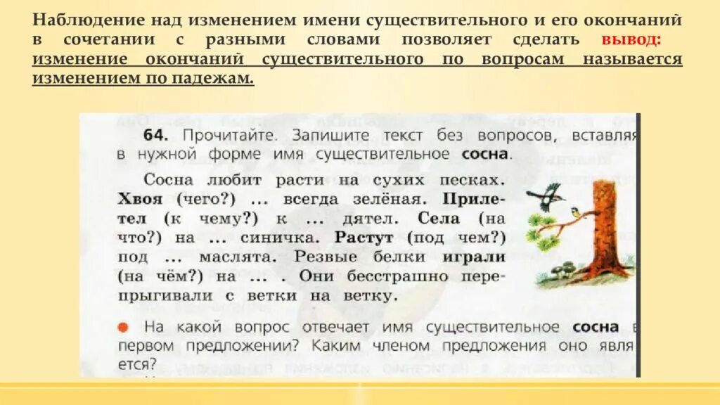 Слово сосна какое окончание. Имя существительное изменение. Методика изучения имени существительного. Предложение со словом сосна. Изучение имени существительного в начальных классах.