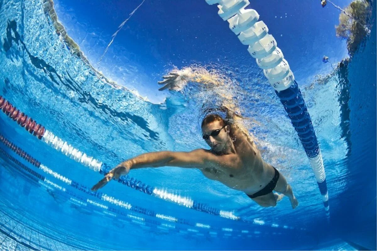 Who is swimming