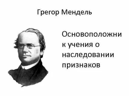 Тесты ученые биология