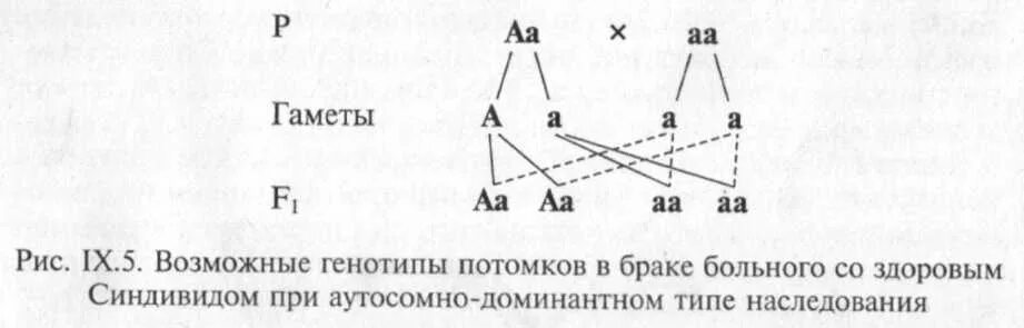 Генотип с с в гомозиготной форме. Гетерозиготный Тип наследования. Рецессивные аутосомные заболевания в популяции. При рецессивном х-сцепленном типе наследования генотип больного. АА И АА Тип наследования.