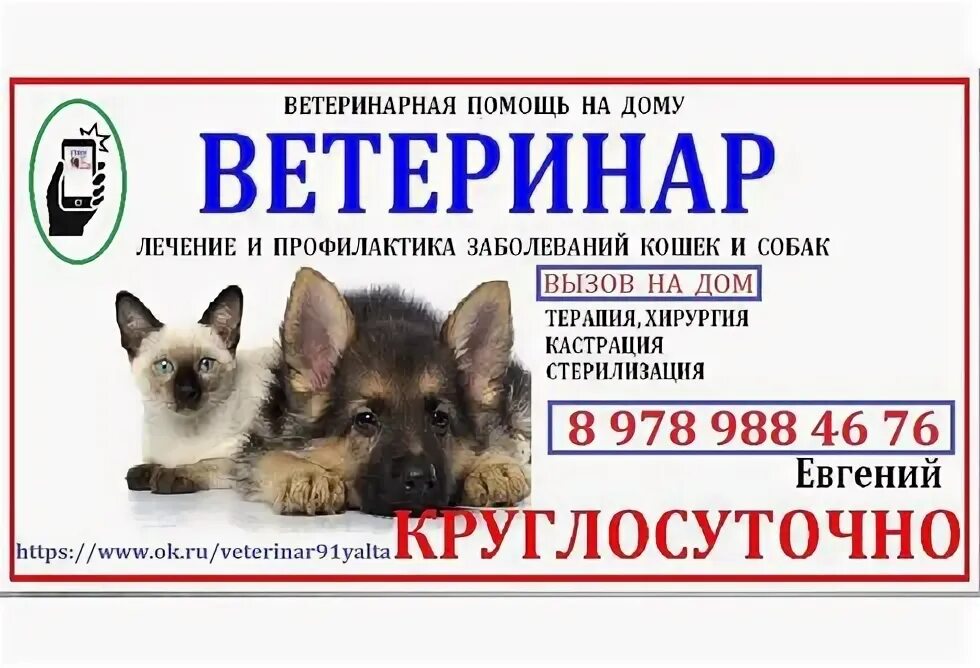 Ветклиника ухта телефон. Ветклиника ухта телефон. Ветклиника ухта телефон. Ветклиника ухта телефон. Пионерская 6 ухта.