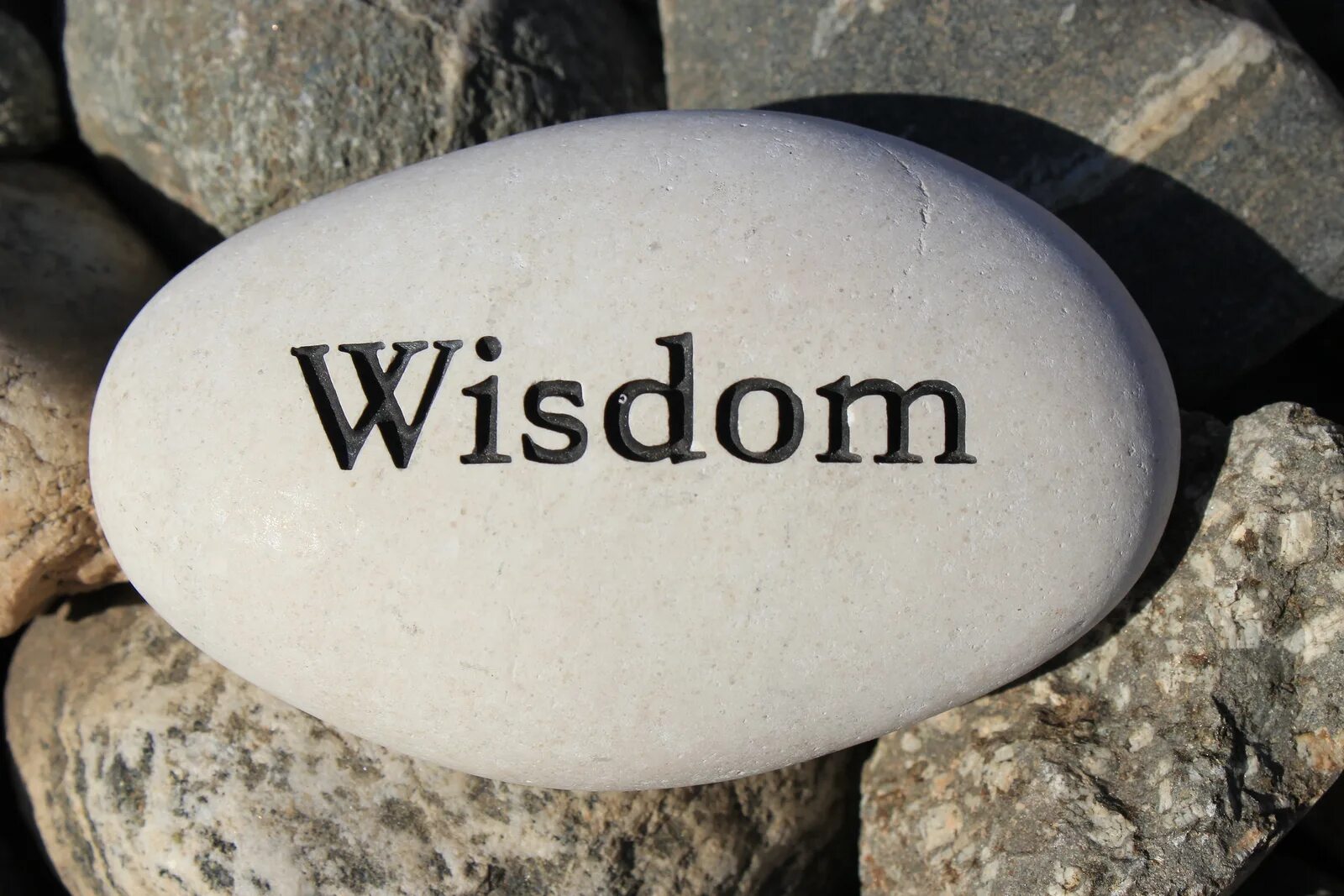 Wisdom перевод на русский. Wisdom. Wisdom картинка. Wisdom Translate. Viz dom.