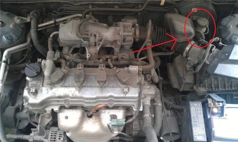 Ниссан альмера n16 под капотом. Almera где находится. Almera где находится. Датчики ниссан альмера н16. Двигатель ниссан альмера н15 1.