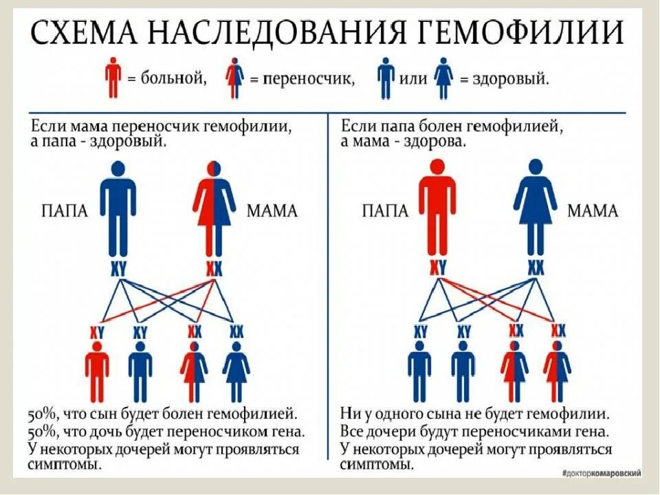 Передается по наследству вид