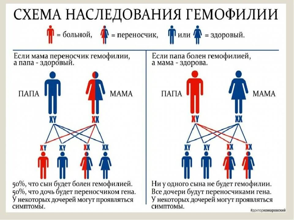 Заболевания крови передающиеся по наследству. Схема наследования гемофилии. Гемофилия наследуется по типу. Гемофилия Тип наследования. Гемофилия генетика Тип наследования.