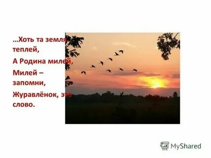 Текст хоть