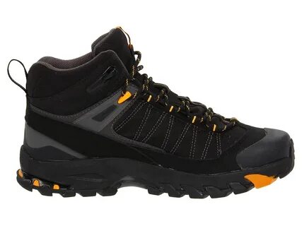 Salomon 3