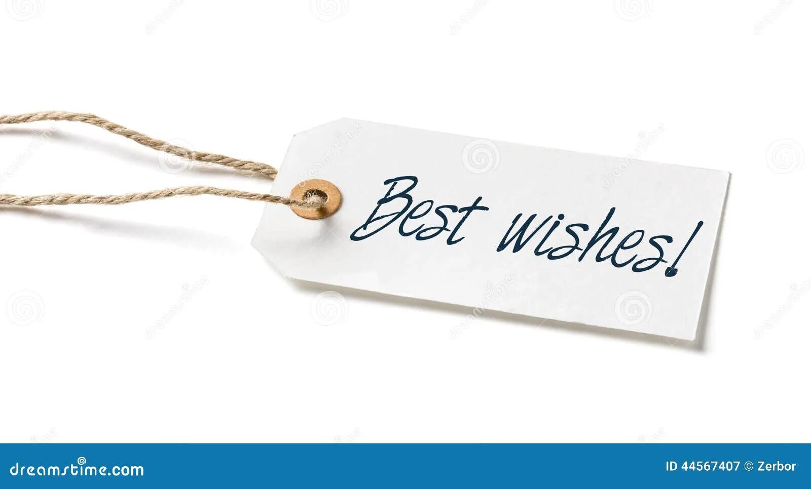 Best wishes надпись. Иллюстрация best wishes. Best wishes your. Иллюстрация best wishes. Best wishes.