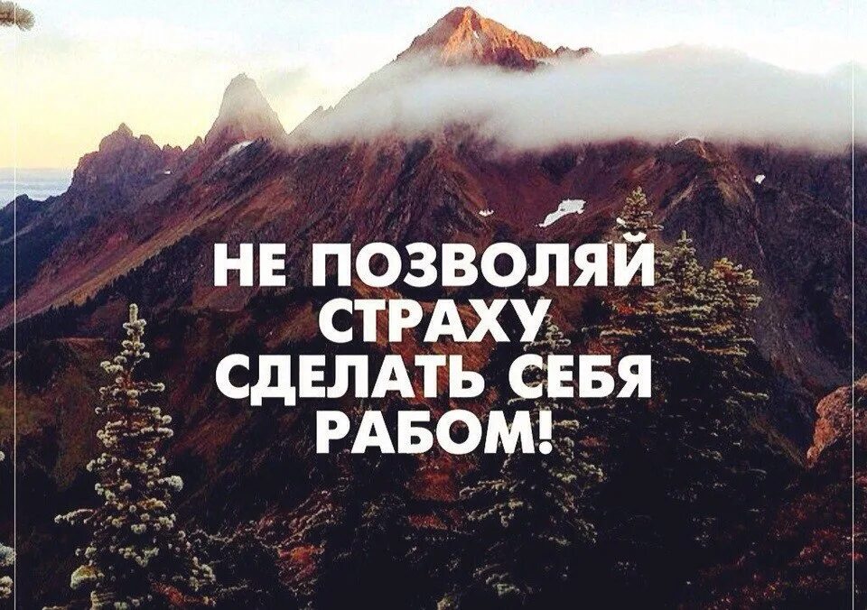 Цитата боязнь