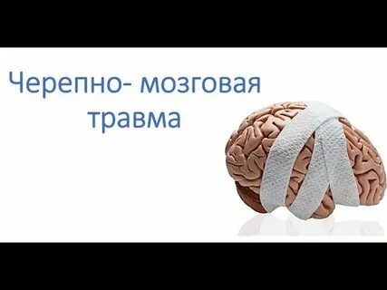 Черепно мозговая травма у собаки