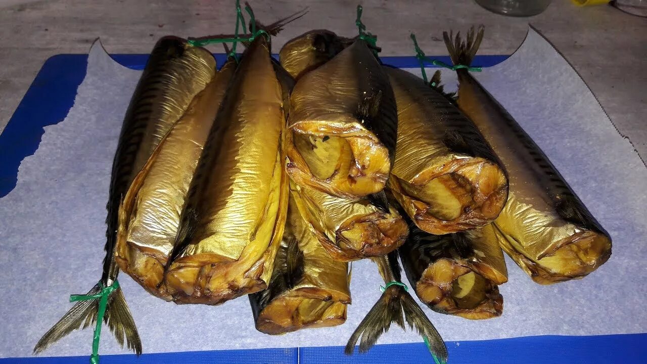 Скумбрия холодного и горячего. Скумбрия холодного копчения. рыба скумбрия копченая. копчение скумбрии холодного копчения. скумбрия горячего копчения.