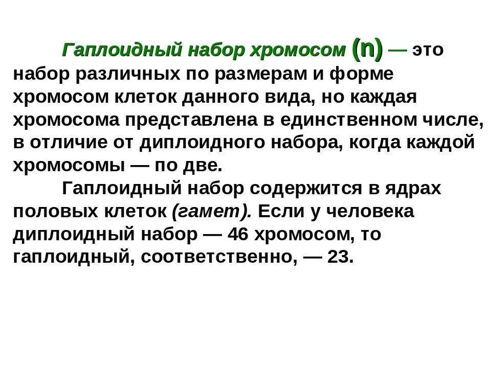 В зиготе человека содержится количество хромосом. Гаплоидный набор хромосом и диплоидный набор. Гаплоидный набор хромосом. Гаплоидный и диплоидный набор хромосом. Гаплоидный набор хромосом примеры клеток.