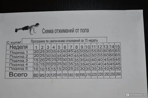 Схема отжиманий