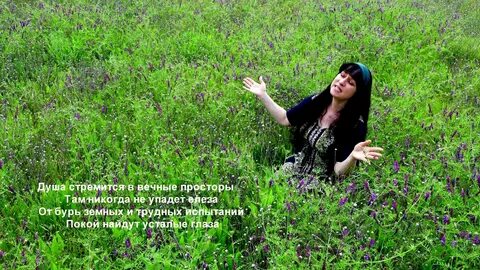 Песня полынь любовь моя