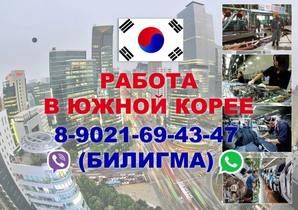 Можно ли полететь в корею. Корея работа для россиян. хочу в южную корею. вакансии южная корея.