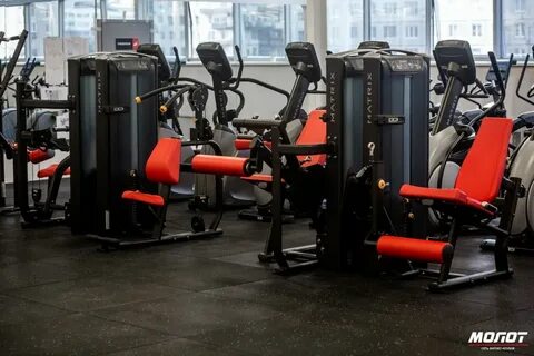 Молот фитнес спб