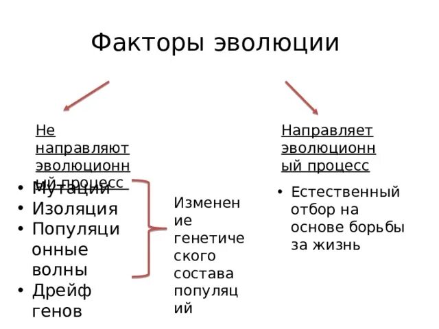 Схема многообразие элементарных эволюционных факторов. Факторы эволюции схема. Миграция фактор эволюции. Миграция фактор эволюции причины. Изоляция это фактор эволюции который.