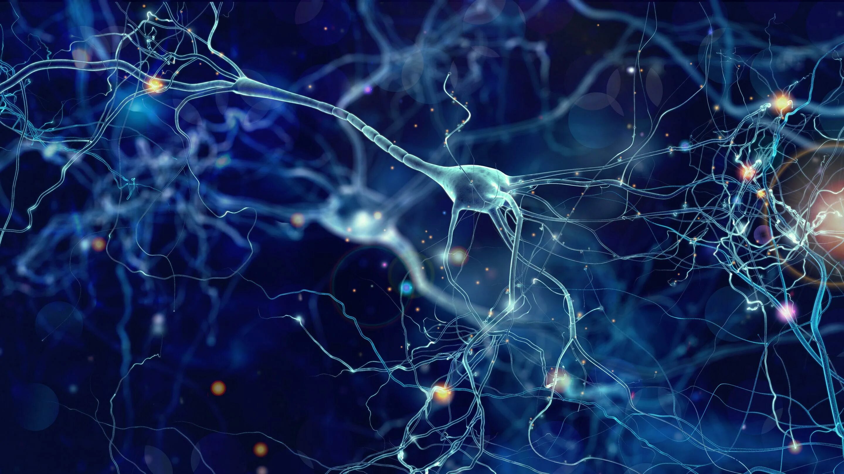 Нейронная сеть человеческого мозга. Neyron tarmoq. Нейроны мозга. Клетки мозга Нейроны. Грибница и Нейроны мозга.