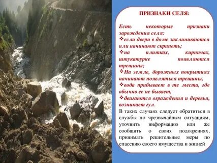 Селях представь текст